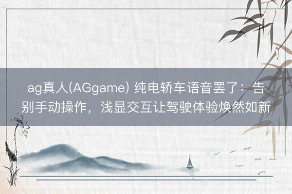 ag真人(AGgame) 纯电轿车语音罢了:告别手动操作,浅显交互让驾驶体验焕然如新