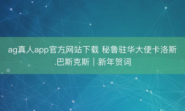 ag真人app官方网站下载 秘鲁驻华大使卡洛斯.巴斯克斯｜新年贺词