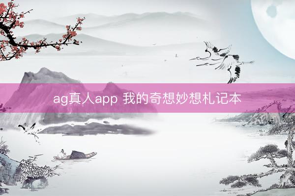 ag真人app 我的奇想妙想札记本